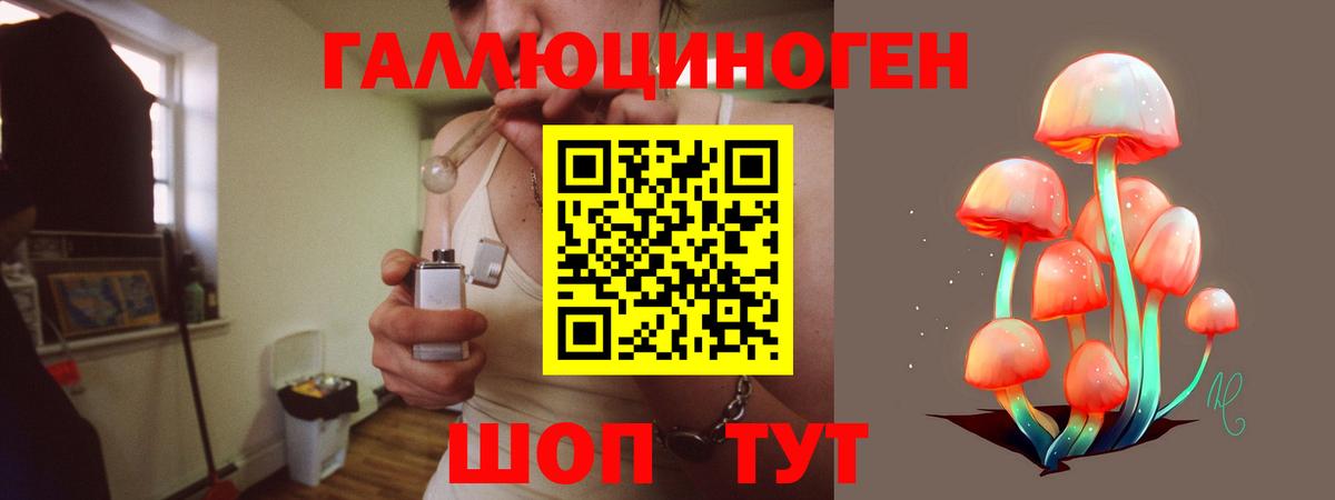 Галлюциногенные грибы GOLDEN TEACHER  Вход с VPN  Псилоцибиновые грибы GOLDEN TEACHER  Видное 